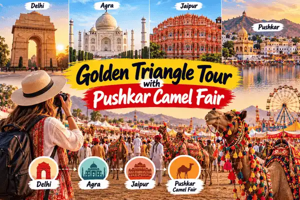 Tourists enjoying the Taj Mahal and the Pushkar Camel Fair during a Rajasthan tour